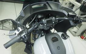 HARLEY FXLRST1920 2025