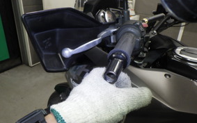 KAWASAKI VERSYS 250 A 1993 LE250D