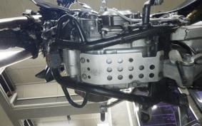 KAWASAKI KLX250D TRACKER 2007 LX250E