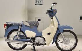 HONDA C50 SUPER CUB 2020 AA09