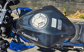 KAWASAKI Z250 SL BR250E