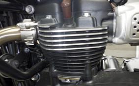 TRIUMPH BONNEVILLE T100 2023