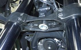 HARLEY PAN AMERICA 1250 2022