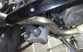 KAWASAKI NINJA 250 2025 EX250L