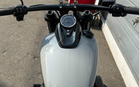 HARLEY FXFBS 2025 YLK