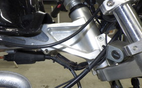 OTHER +UNREGISTERED MODEL by BDS125 2015 GC017