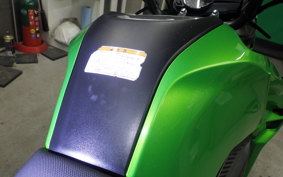 KAWASAKI Z125 PRO 2001 BR125H