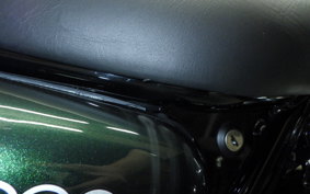 KAWASAKI W800 2021 EJ800B