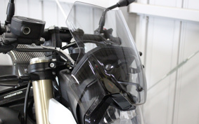 BMW S1000R M PACKAGE 2022 0E51