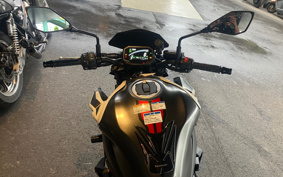 KAWASAKI Z900 2021 ZR900B