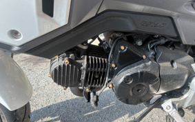 HONDA GROM JC61