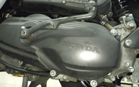 HONDA GIORNO 3 AF77