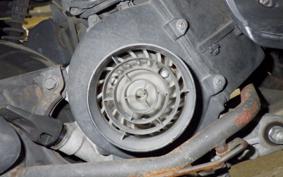 HONDA TODAY 2023 AF61