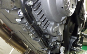 INDIAN FTR1200R carbon 2021