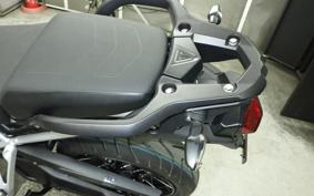 TRIUMPH TIGER 900 RALLY PRO 2026