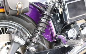 HARLEY FXDL 2001 GDV