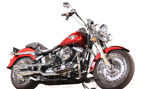 HARLEY FLSTF 2015 BXV