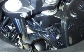 KAWASAKI VERSYS X250 A LE250D