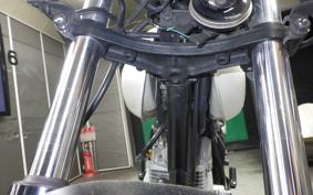 HONDA FTR223 2007 MC34