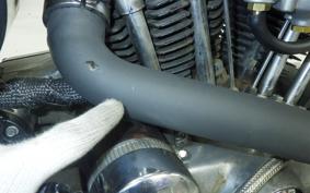 OTHER +UNREGISTERED MODEL by BDS1000 2026