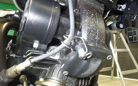 DUCATI SCRAMBLER ICON 2023