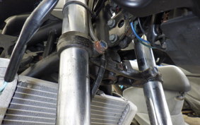 HONDA CBR250R 2010