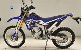 YAMAHA WR250R 2019 DG15J