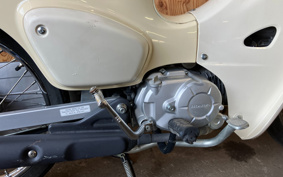 HONDA SUPER CUB50 AA09