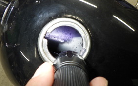 HONDA GORILLA 2009 AB27