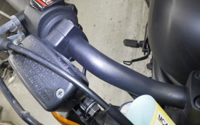 HONDA REBEL 250 MC49