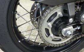 TRIUMPH SCRAMBLER 900 2025