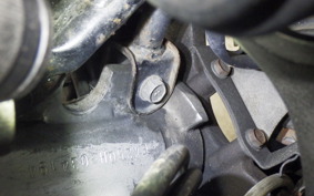 KAWASAKI ZZ-R250 2024 EX250H