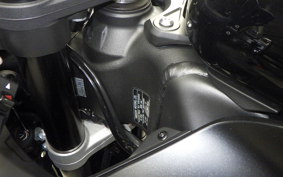 KAWASAKI NINJA ZX-6R A 2025 ZX636J