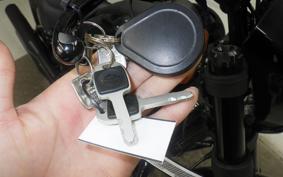 HARLEY FXLRS1920 2024