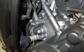HONDA CBR250RR A 2024 MC51