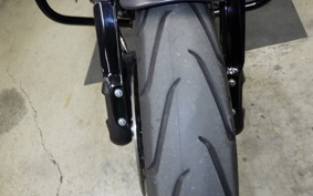 HARLEY FXDRS1870 2020