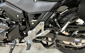 SUZUKI STROM 250ABS DS11A