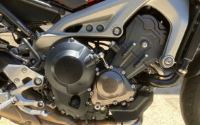 YAMAHA MT-09 2014 RN34J
