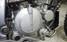 KAWASAKI KLX250 2022 LX250E