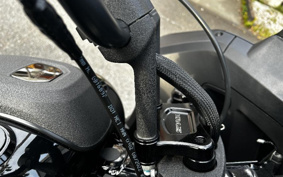 HARLEY FXLRST 2023 YXZ
