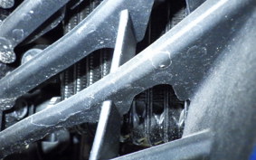 SUZUKI ｼﾞｸｻｰ250SF 2024 ED22B