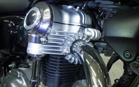 KAWASAKI W800 2024 EJ800E