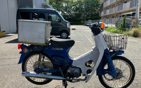 HONDA SUPER CUB50 C50