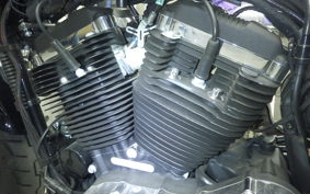 HARLEY XL1200XS 2020