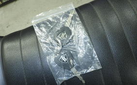 OTHER +UNREGISTERED MODEL by BDS125 2025