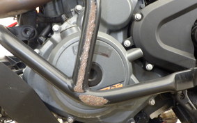 KTM 250 DUKE 2025