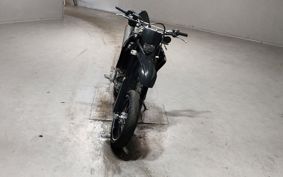 YAMAHA WR250X DG15J