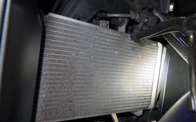 YAMAHA YZF-R3 2015 RH07J