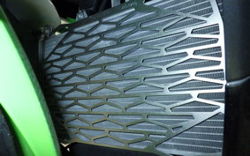 KAWASAKI NINJA 400 2018 EX400G