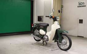 HONDA LITTLE CUB 2022 AA01